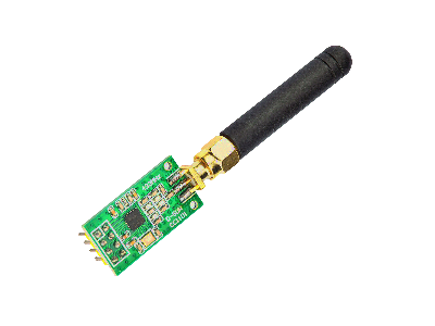 CC1101 RF Module